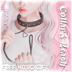 Zappa's Collar & Leash w/ Heart Charm | FREE NITRO GIFT