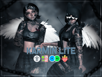 Karmin LITE - PC+Quest | Facetracking | Gogo Loco | Limb Scale | HR to VRC