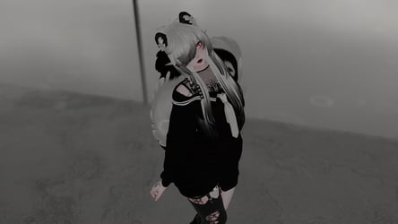 Salem the Skunk ( Female/Femboy, Nsfw, FT )