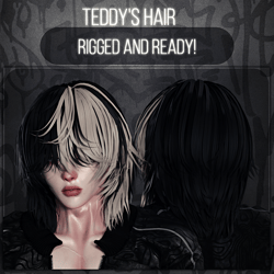 Teddy Hair