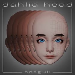 Dahlia Head - VRChat Asset