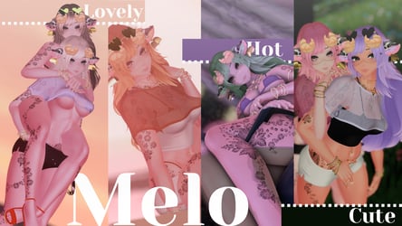 Melo| PC & quest| FT| Budget frendly!