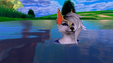 Braix