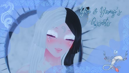 Yin & Yang's Assets