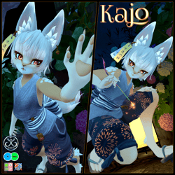Kajo (PC + Quest Optimized, VRCFT)
