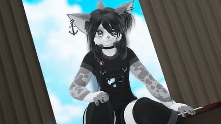 Shay The Summer Shark