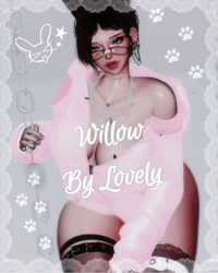 โก Willow โก PC | GOGO | VRCFT