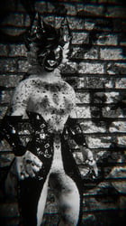 Zorro