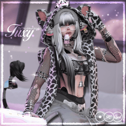 Tuxy (PC/QUEST/OPTI)