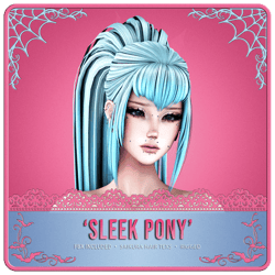 sleek pony