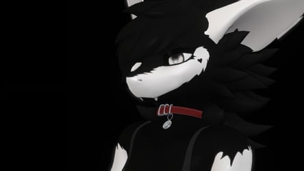 Dog Collar