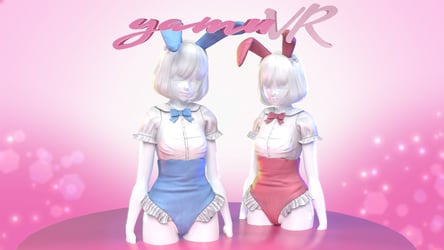 Blouse Bunny Suit