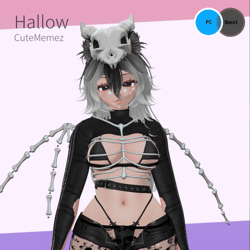 Hallow 💀🦝Pc Only (SFW)
