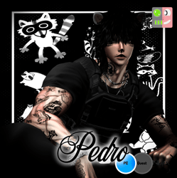 PEDRO