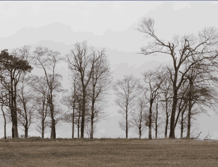 A tracked and composited VFX shot