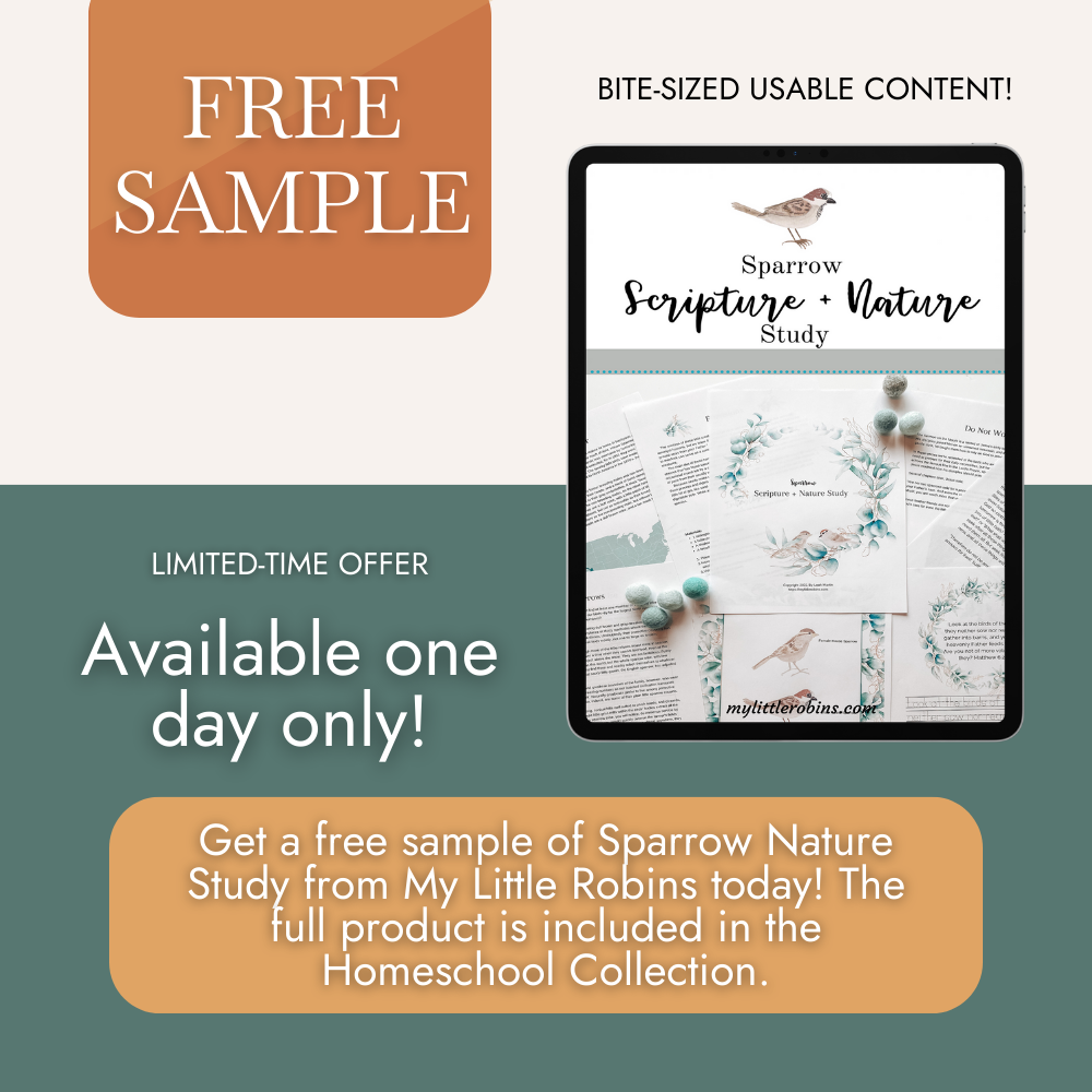 sparrow scripture nature study