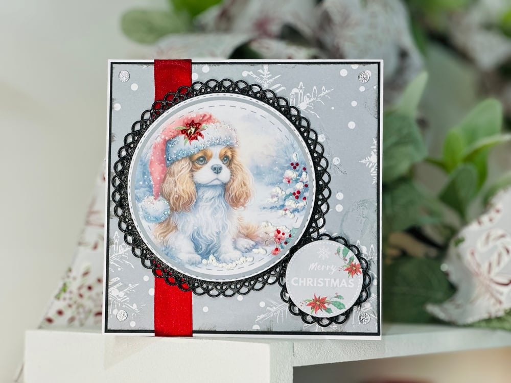 Opulence by design Pom Poms and Paws