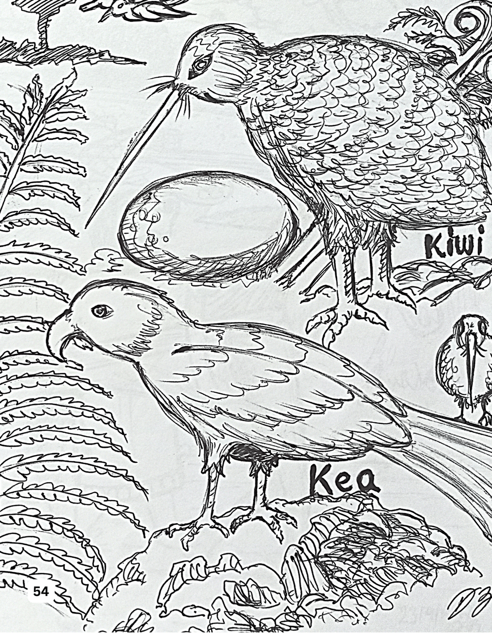 Colouring book sample page from Koru Kiwi Arts New EBook