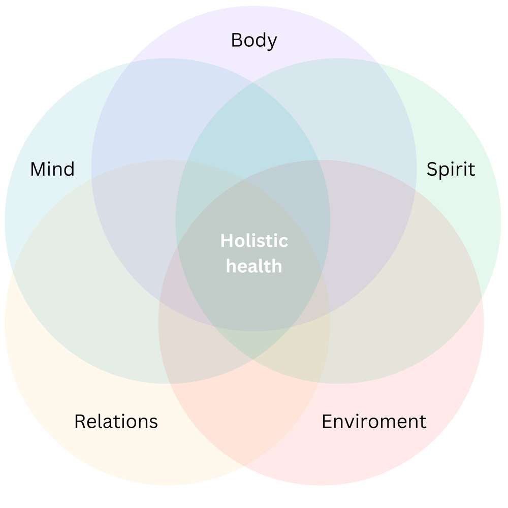holistic health diagram