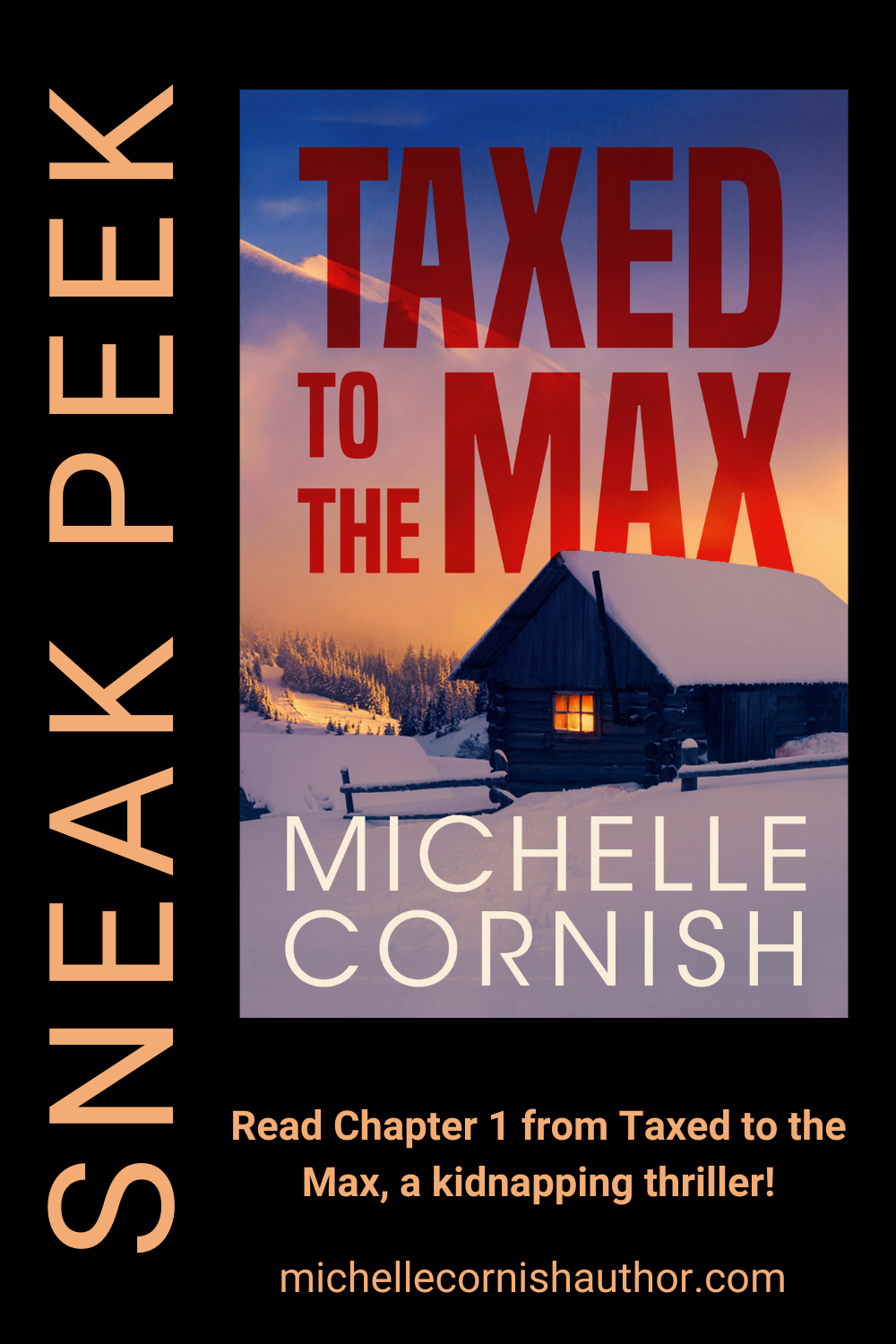 Taxed to the Max a kidnapping thriller