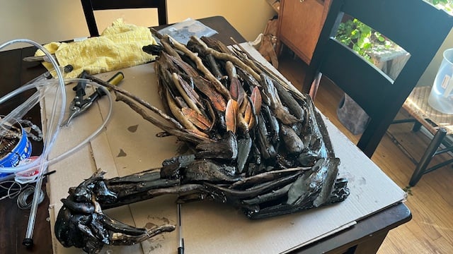 swan sculpture, driftwood swan