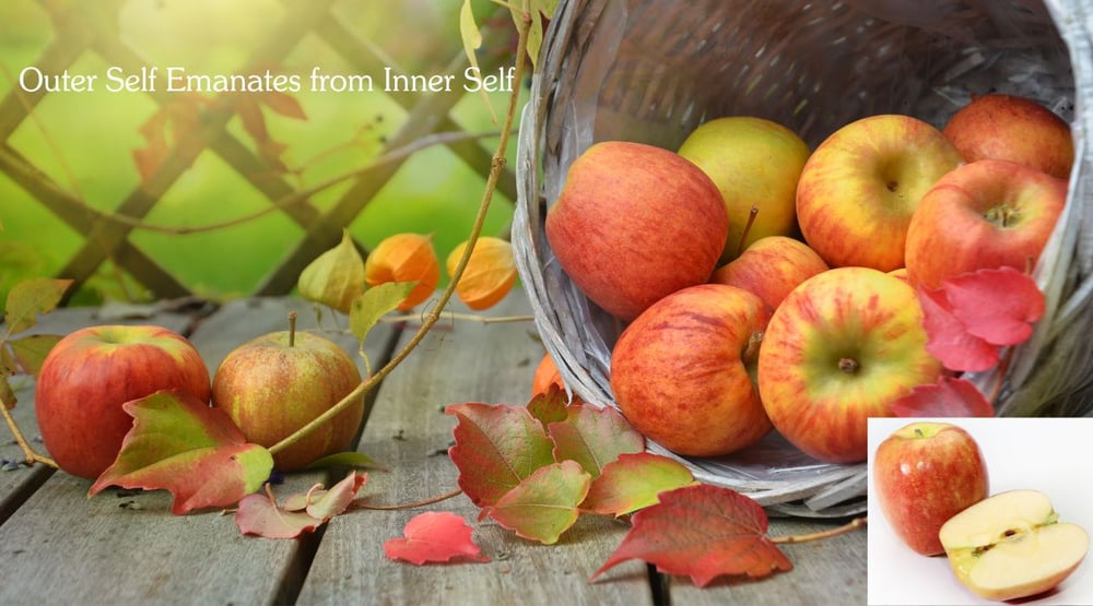 Your inner self creates and supports your outer self