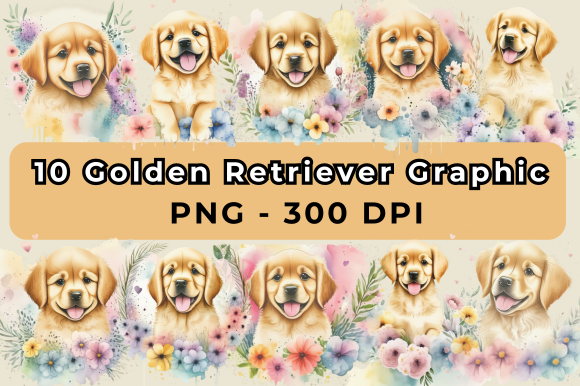 Golden Retriever Graphic Kickis Shop