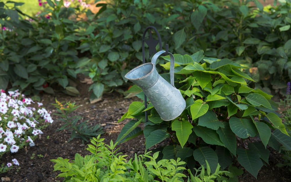 Artistic Garden with suspended watering can