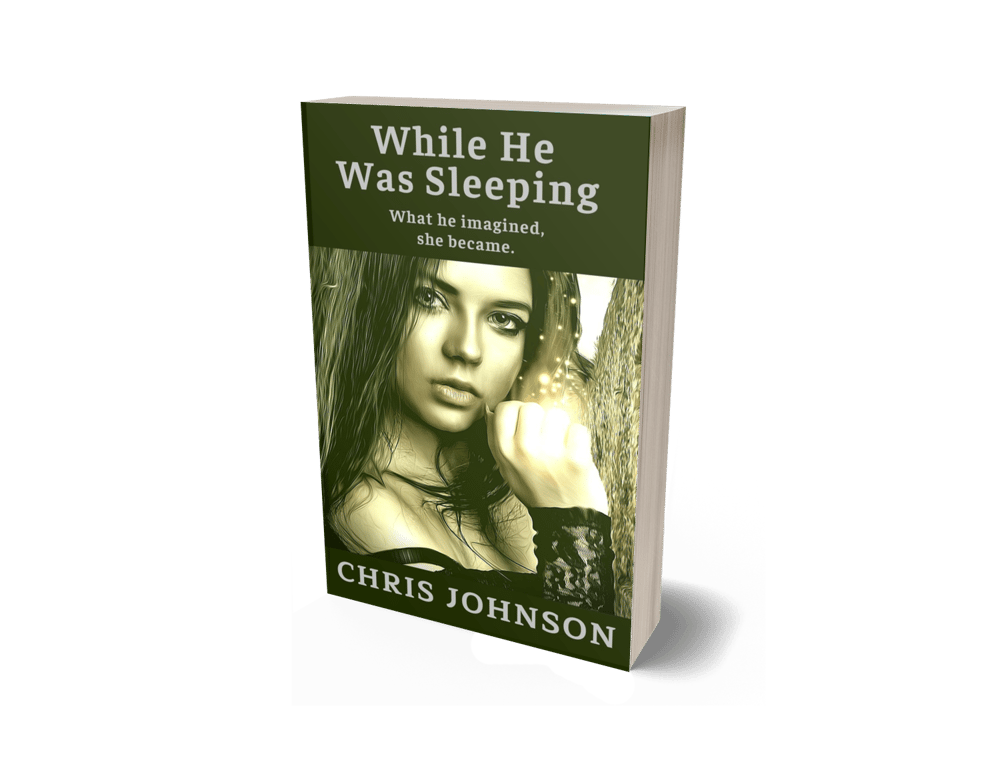 While He Was Sleeping book cover