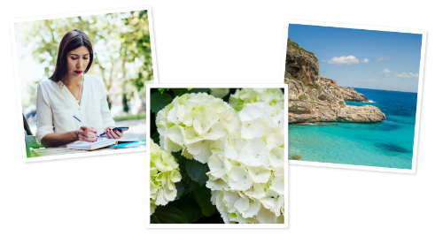 Digital Planner Design - Style Guide - Inspiration