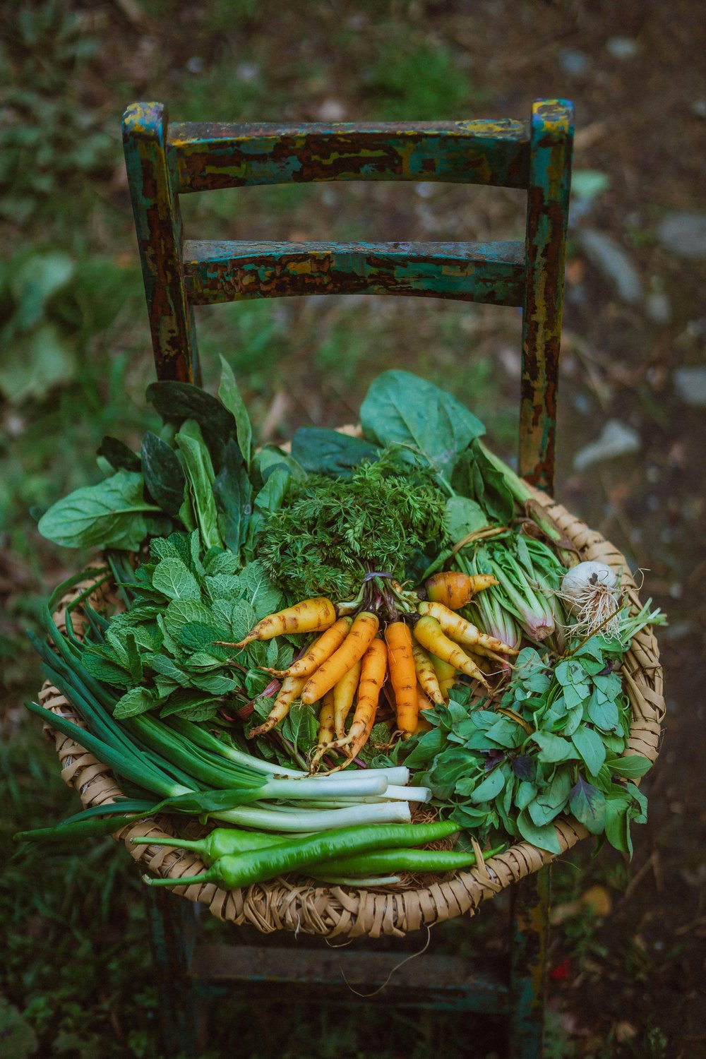 <img src="homegrown-vegetables-on-a-chair.jpg" alt=Varieties of home grown vegetables and herbs on the chair">