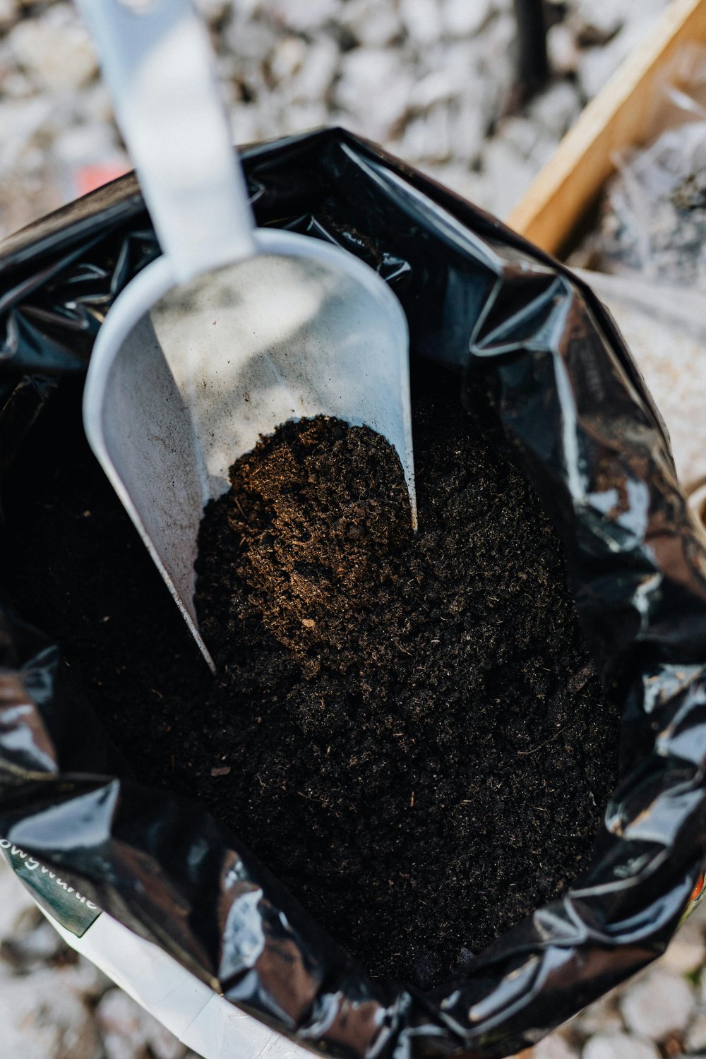<img src="homemade-organic-fertilizers.jpg" alt="Home made organic fertilizers in a plastic">