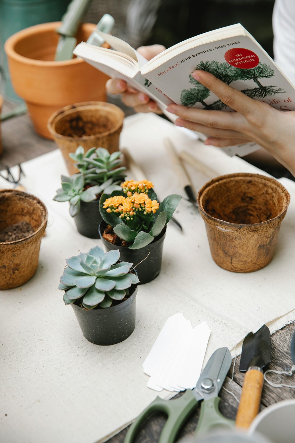 Gardening workshops and classes