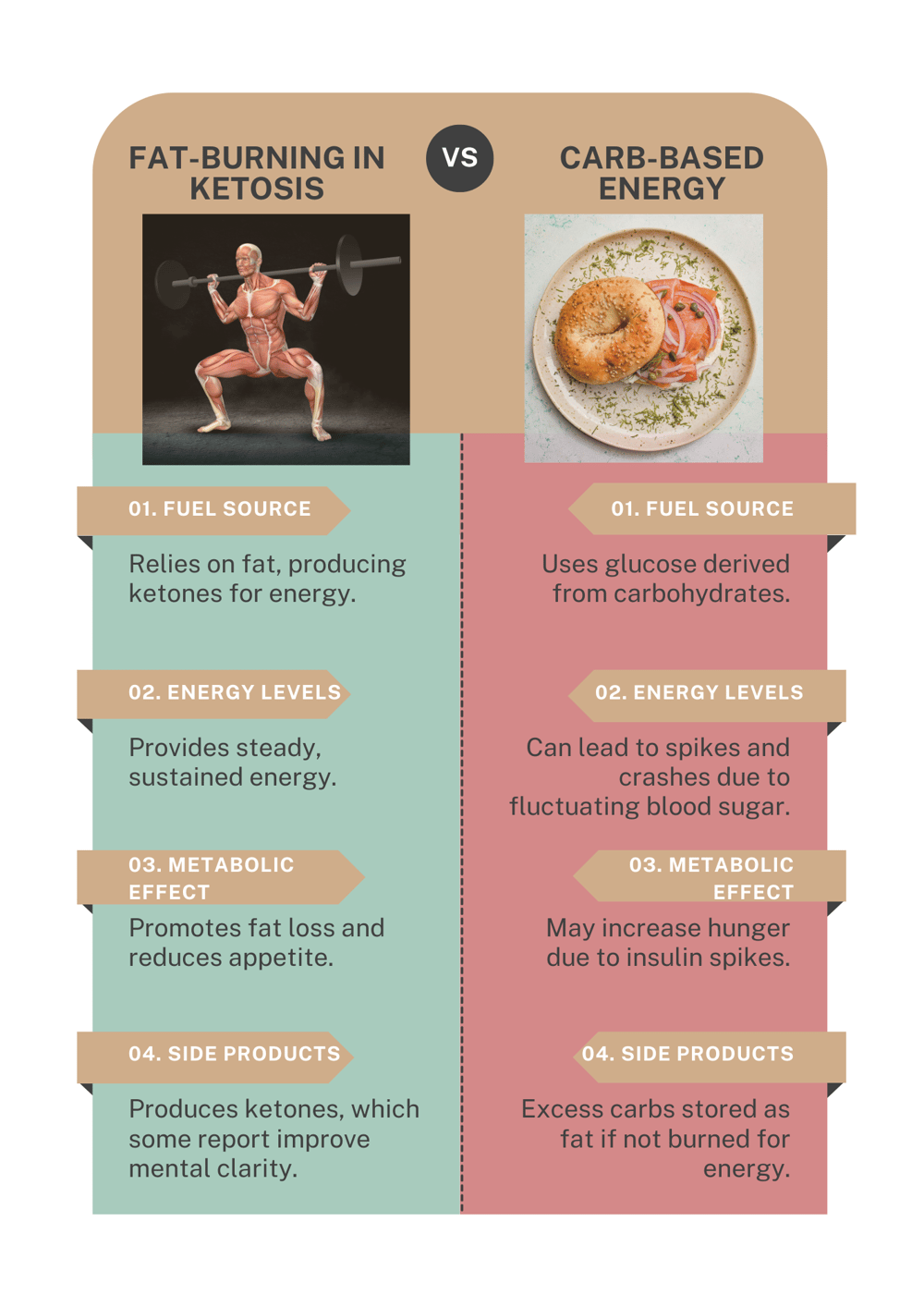 Differences between "Fat-Burning in Ketosis" vs. "Carb-Based Energy"