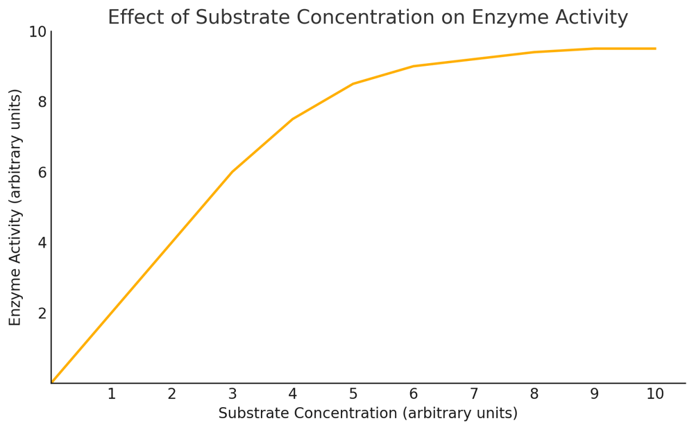 substrate saturation enzyme graph vce biology study tips