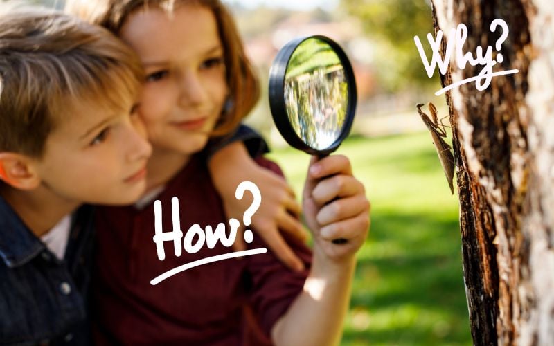 Ask: How do things come to be? Discover your purpose