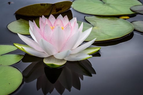 Weight Loss Tip #6 - Reduce Stress Destress Lower Your Stress