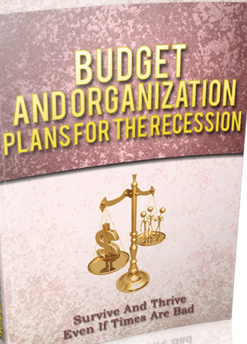 budget your money to survive the recession