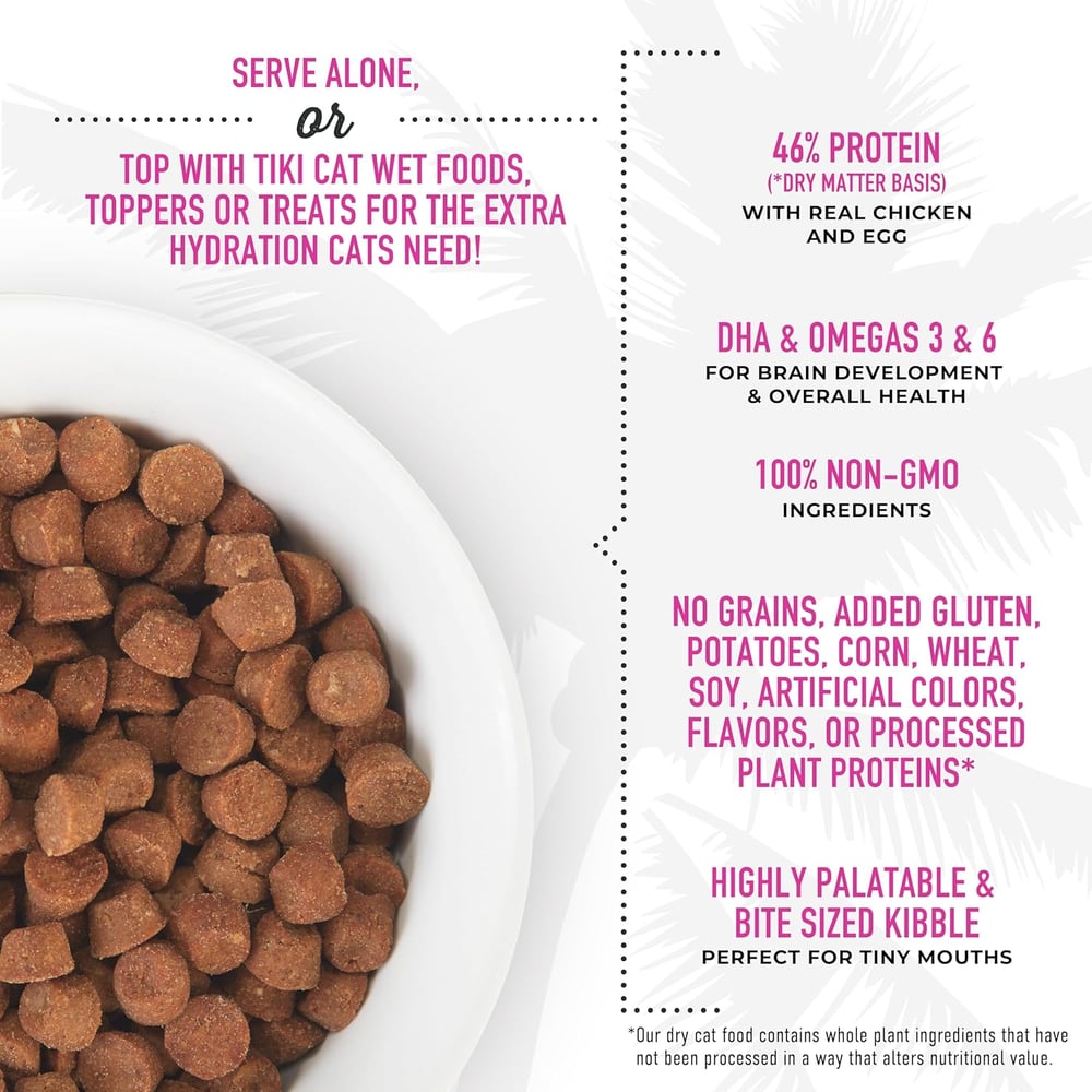 high quality kitten food