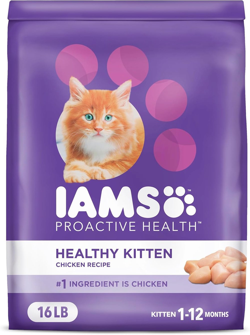 high quality kitten food