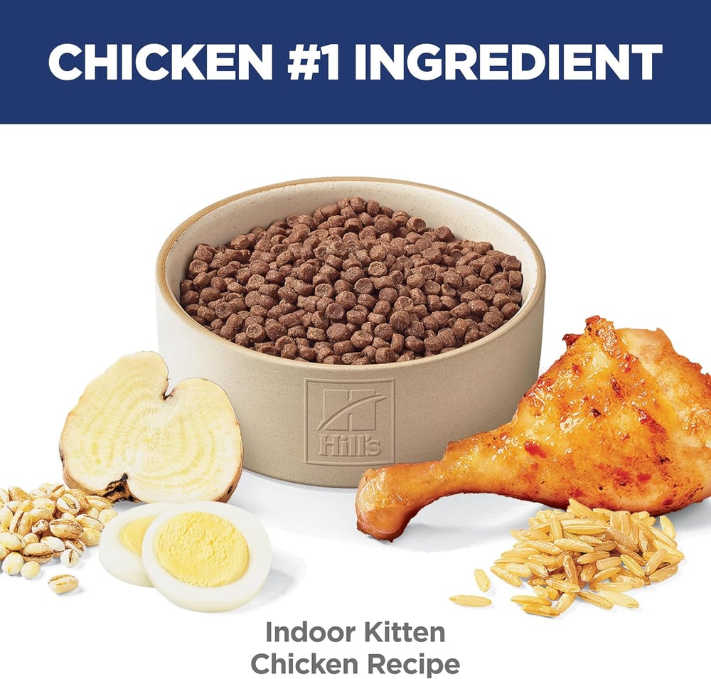 high quality kitten food