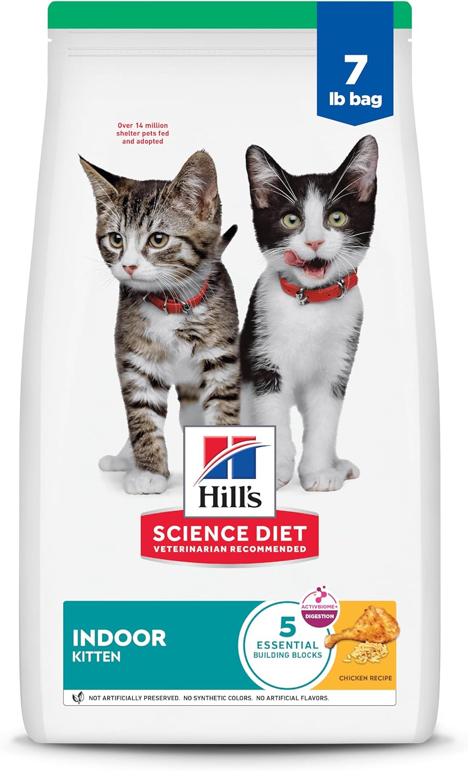 high quality kitten food