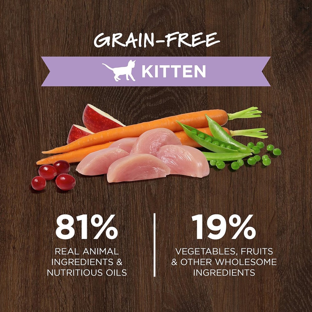 high quality kitten food