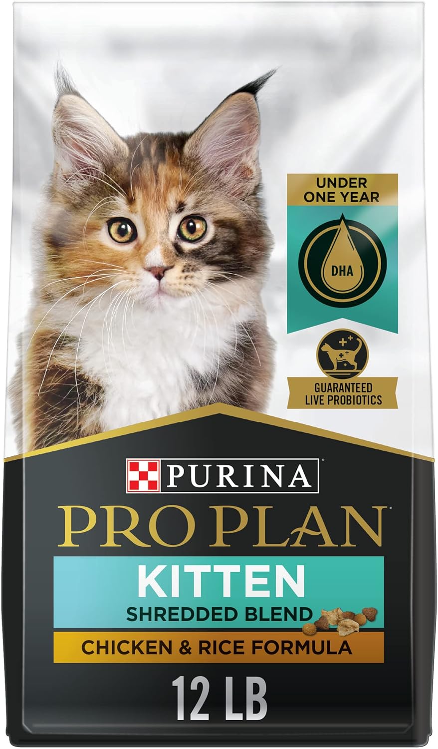 high quality kitten food