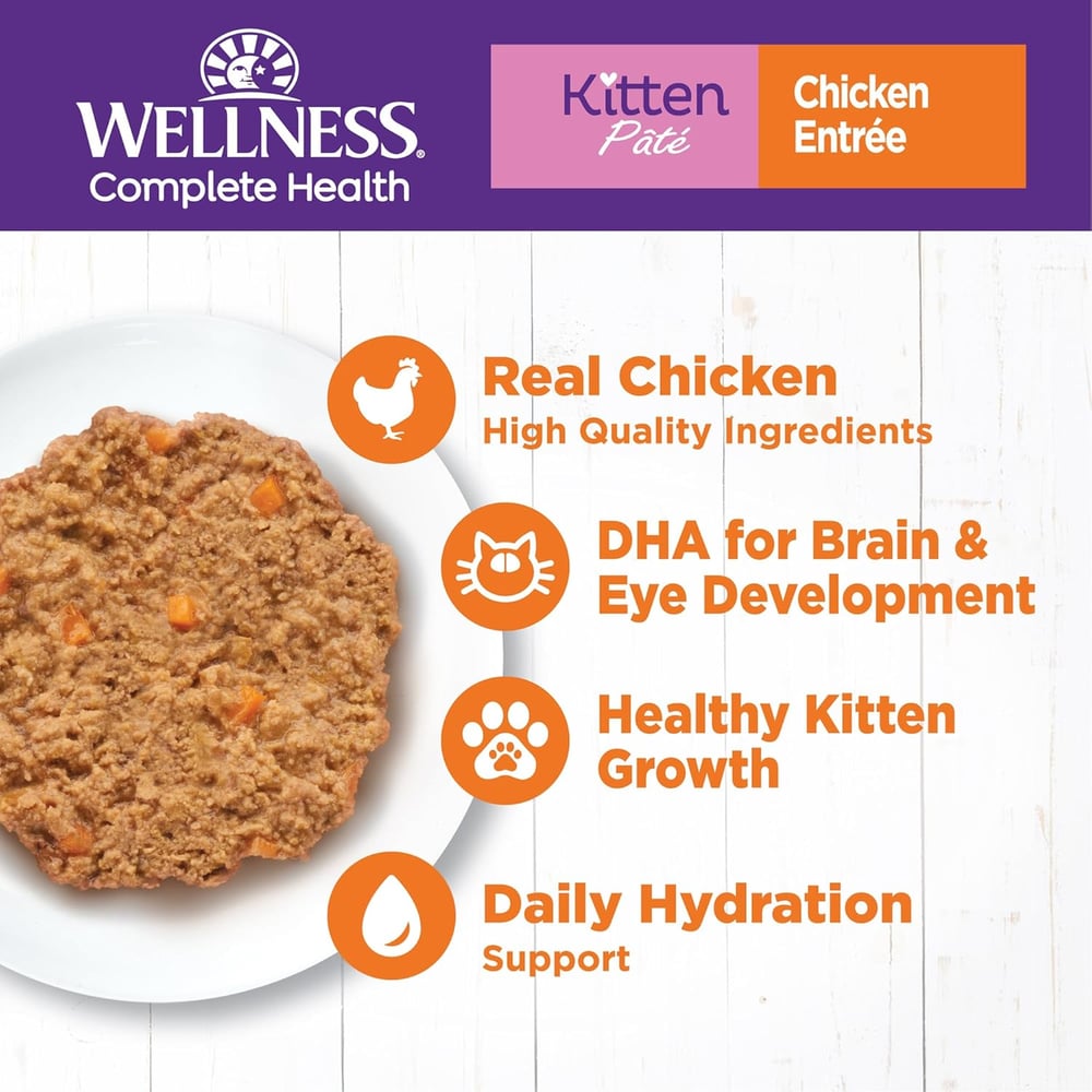 high quality kitten food