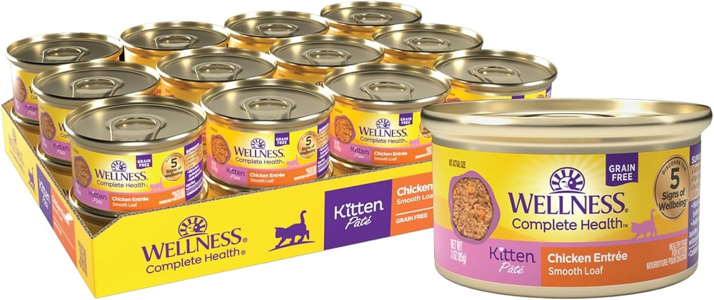 high quality kitten food