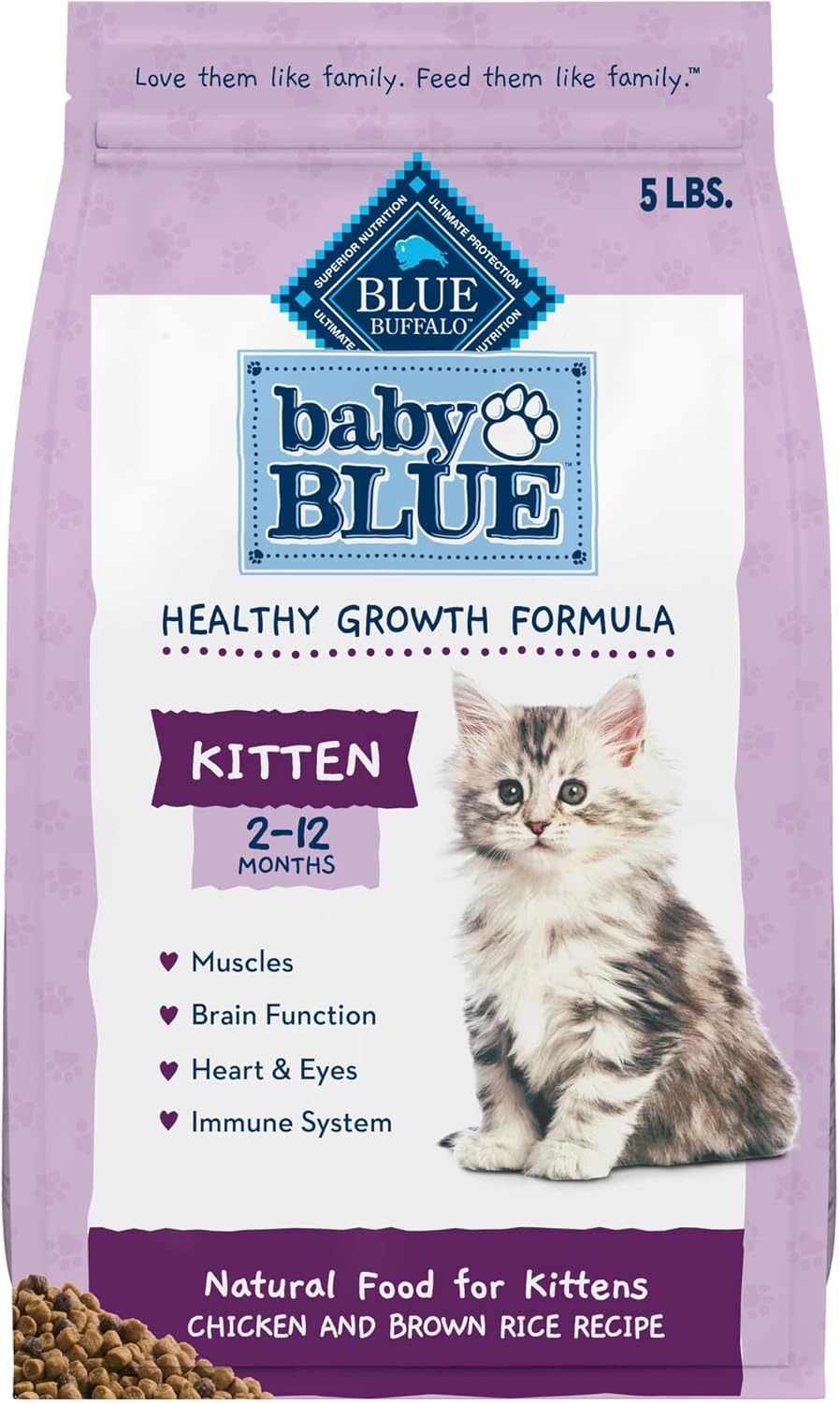 high quality kitten food