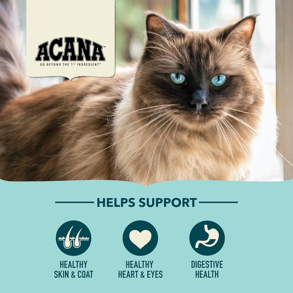 high quality dry cat food