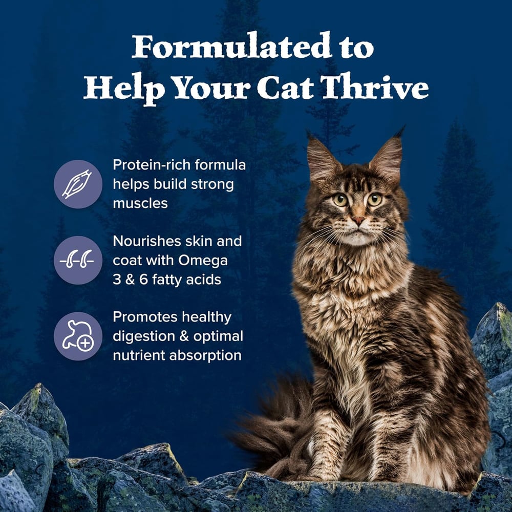 high quality dry cat food