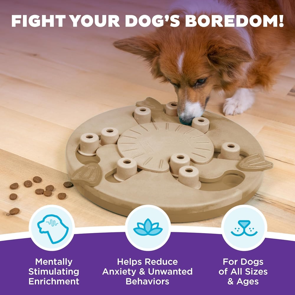 toys for huskies